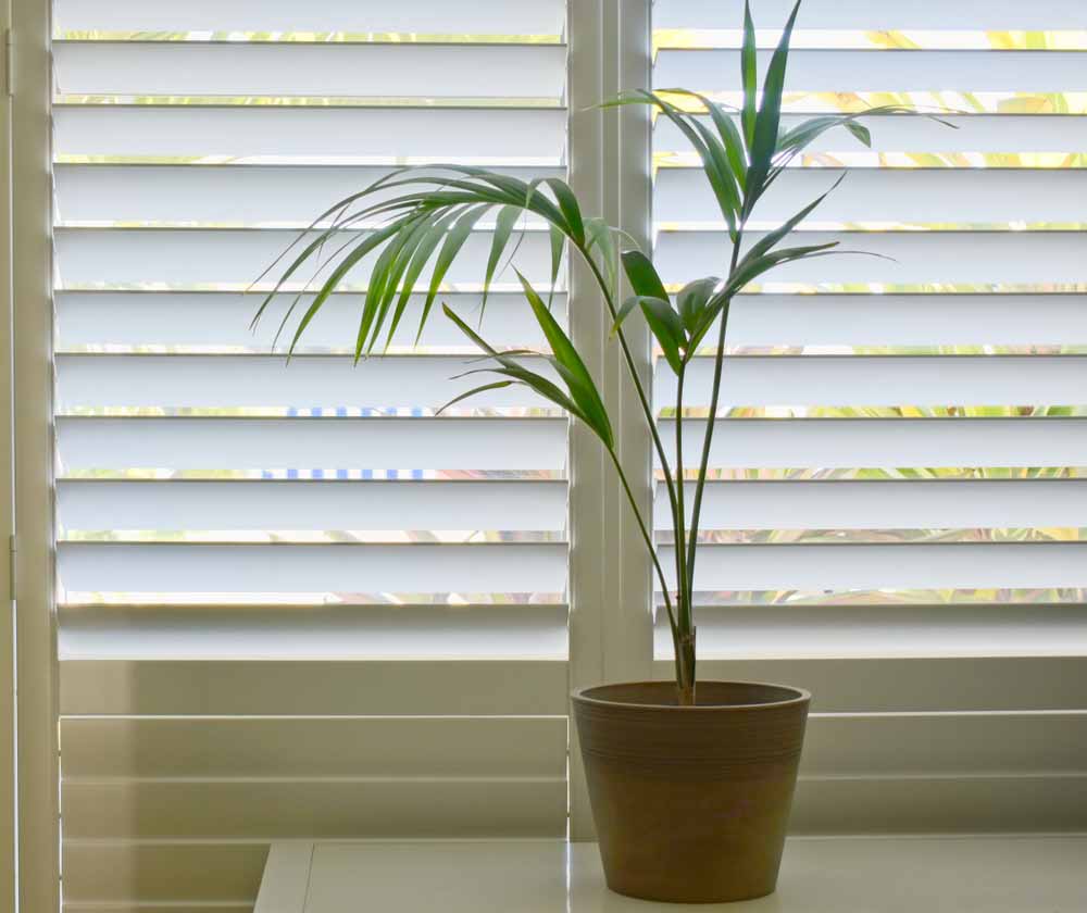 Luxury White Indoor Plantation Shutters